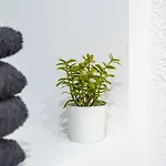 T2 Proche Place Aux Herbes *