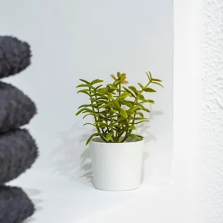 T2 Proche Place Aux Herbes *