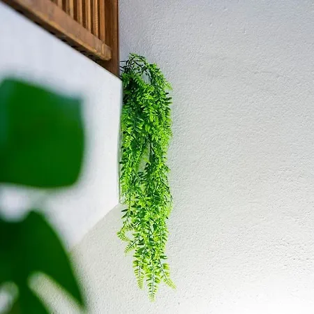 Apartment T2 Proche Place Aux Herbes *