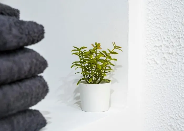 T2 Proche Place Aux Herbes *